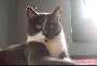 Charlotte, glamourously backlit